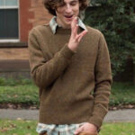 A Rainy Day In New York Timothée Chalamet Sweater
